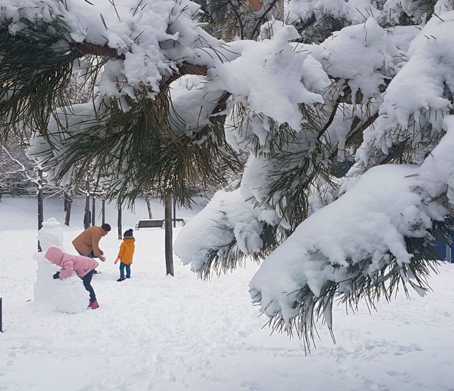 Întocmește-ți propriul plan de creștere a copiilor! 2295