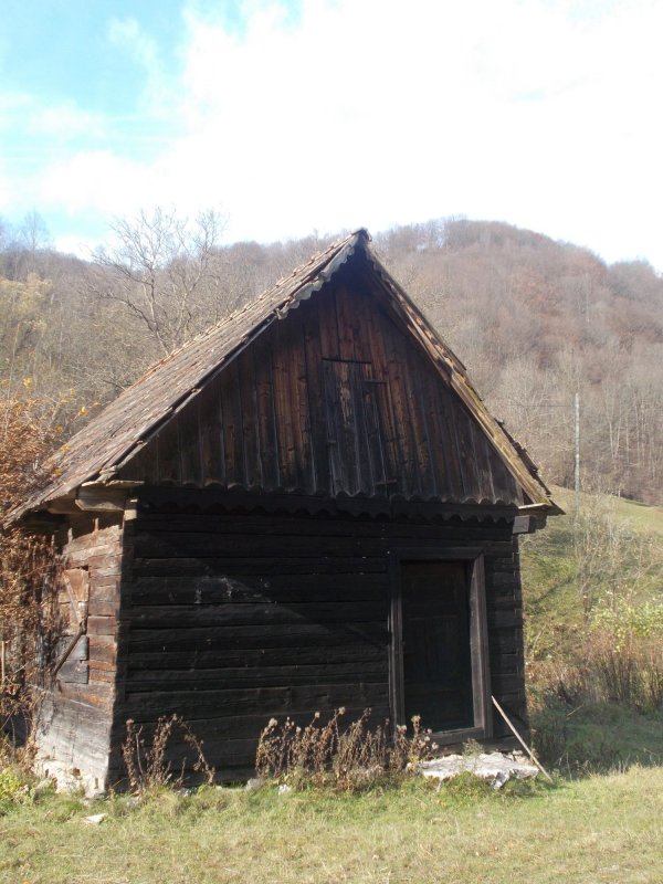 Strigătul mut al satelor din Apuseni 1921