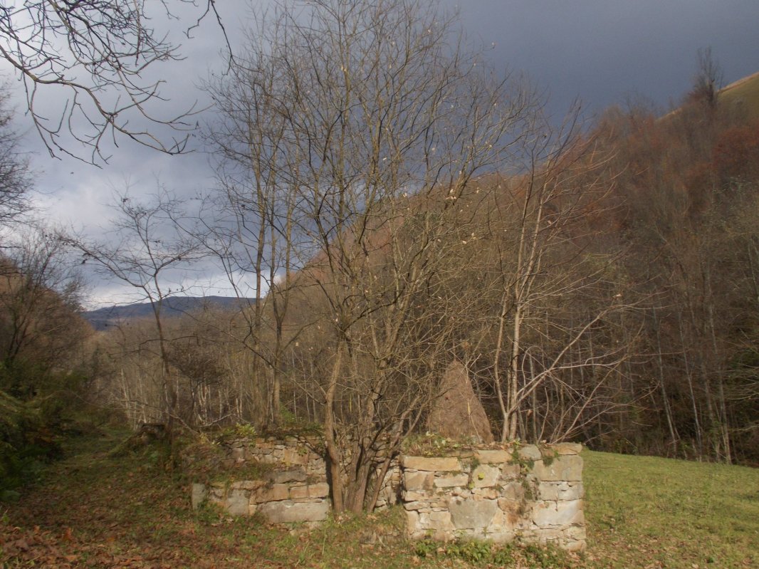 Strigătul mut al satelor din Apuseni 1923