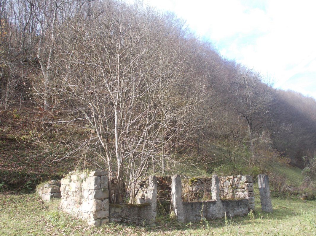 Strigătul mut al satelor din Apuseni 1924