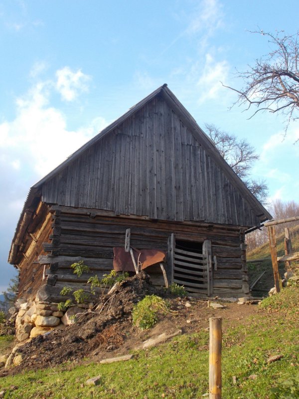 Strigătul mut al satelor din Apuseni 1928