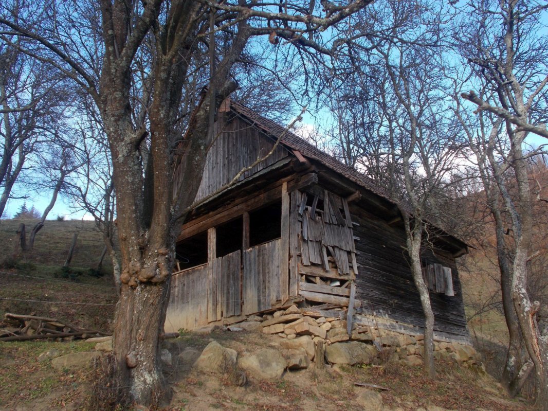 Strigătul mut al satelor din Apuseni 1930