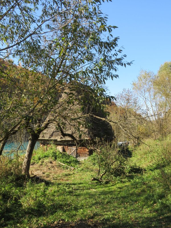 Strigătul mut al satelor din Apuseni 1931