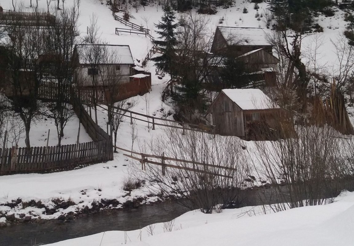 Strigătul mut al satelor din Apuseni 1936