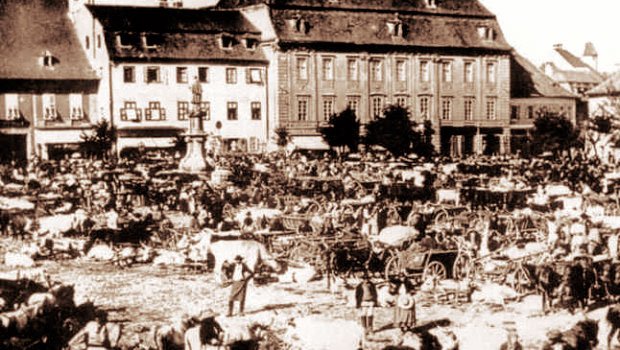 Principalele evenimente din luna februarie 1919 1637