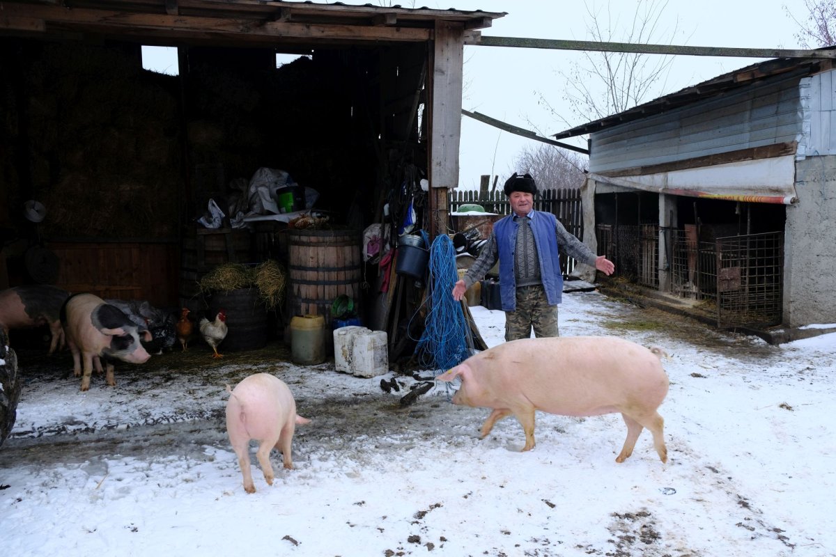 Tântava sau vaietul mut al unui sat de legumicultori 1562