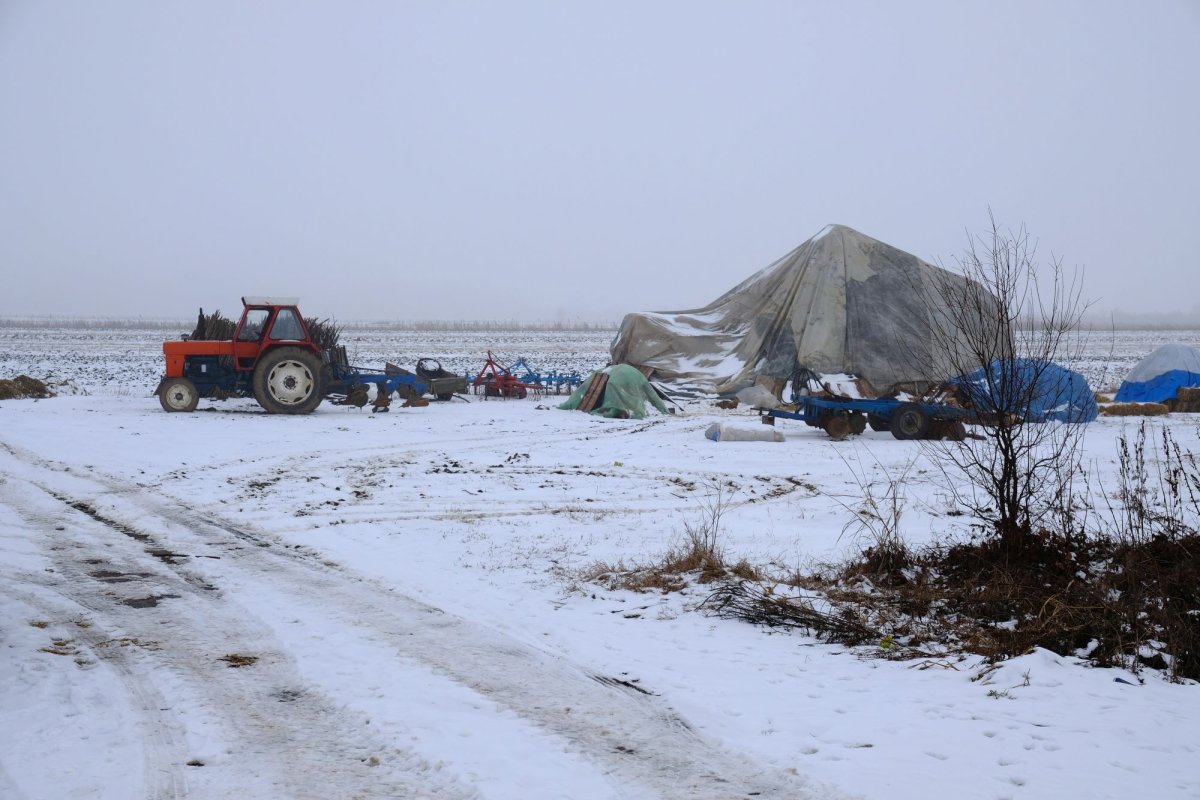 Tântava sau vaietul mut al unui sat de legumicultori 1568