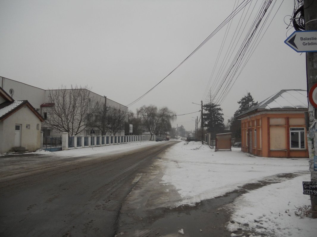 Tântava sau vaietul mut al unui sat de legumicultori 1569