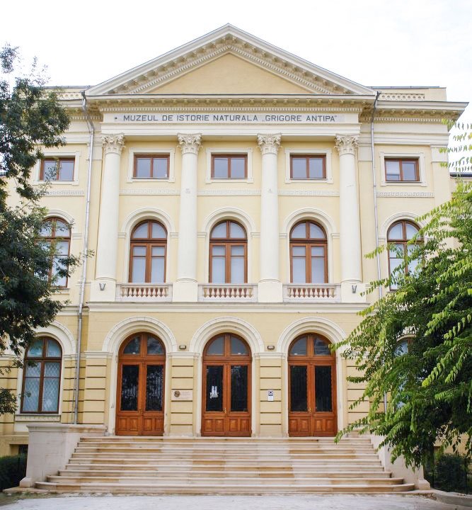 Agenda culturală 5 februarie - 11 februarie 1403