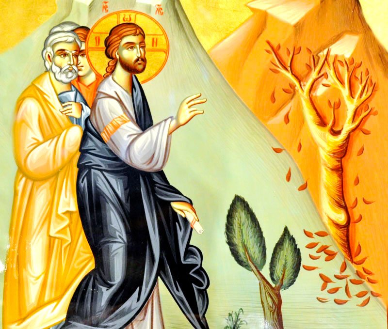 Marcu 11, 11–23 1395