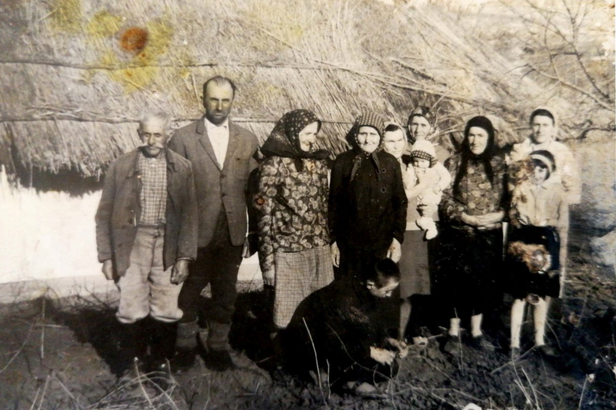 Rănile colectivizării 331219