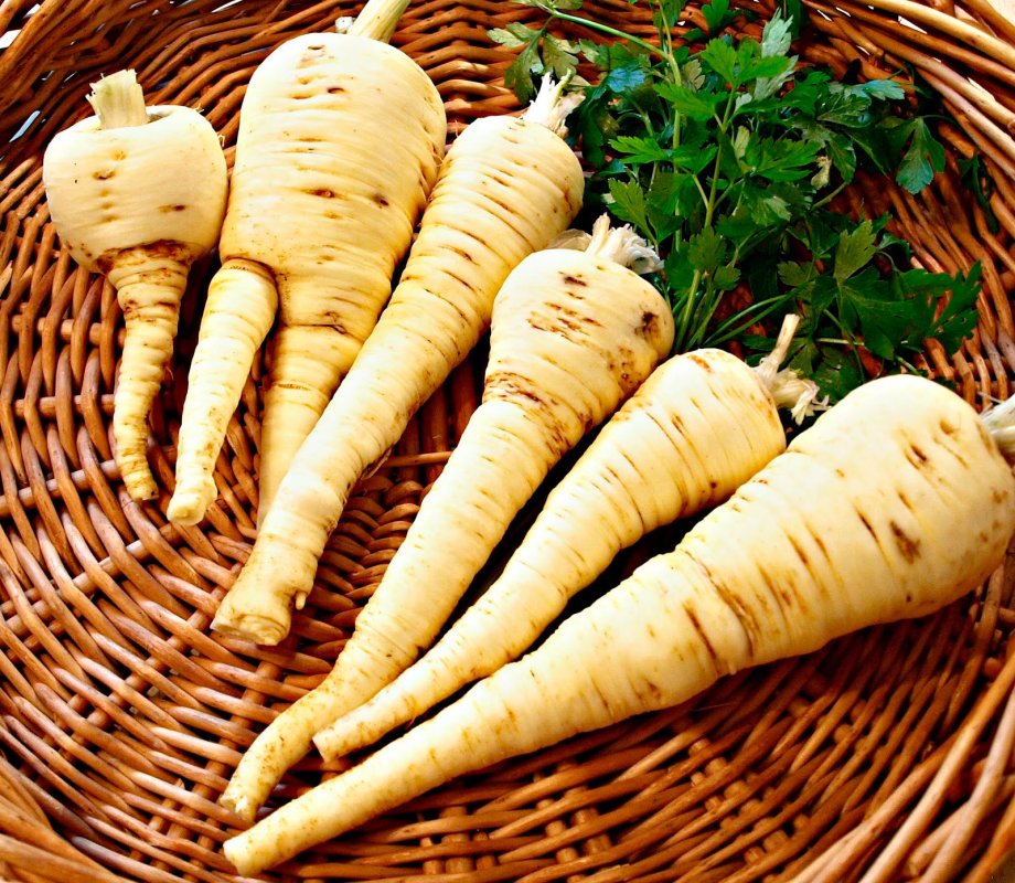 Păstârnacul îmbunătățește activitatea plămânilor 1015