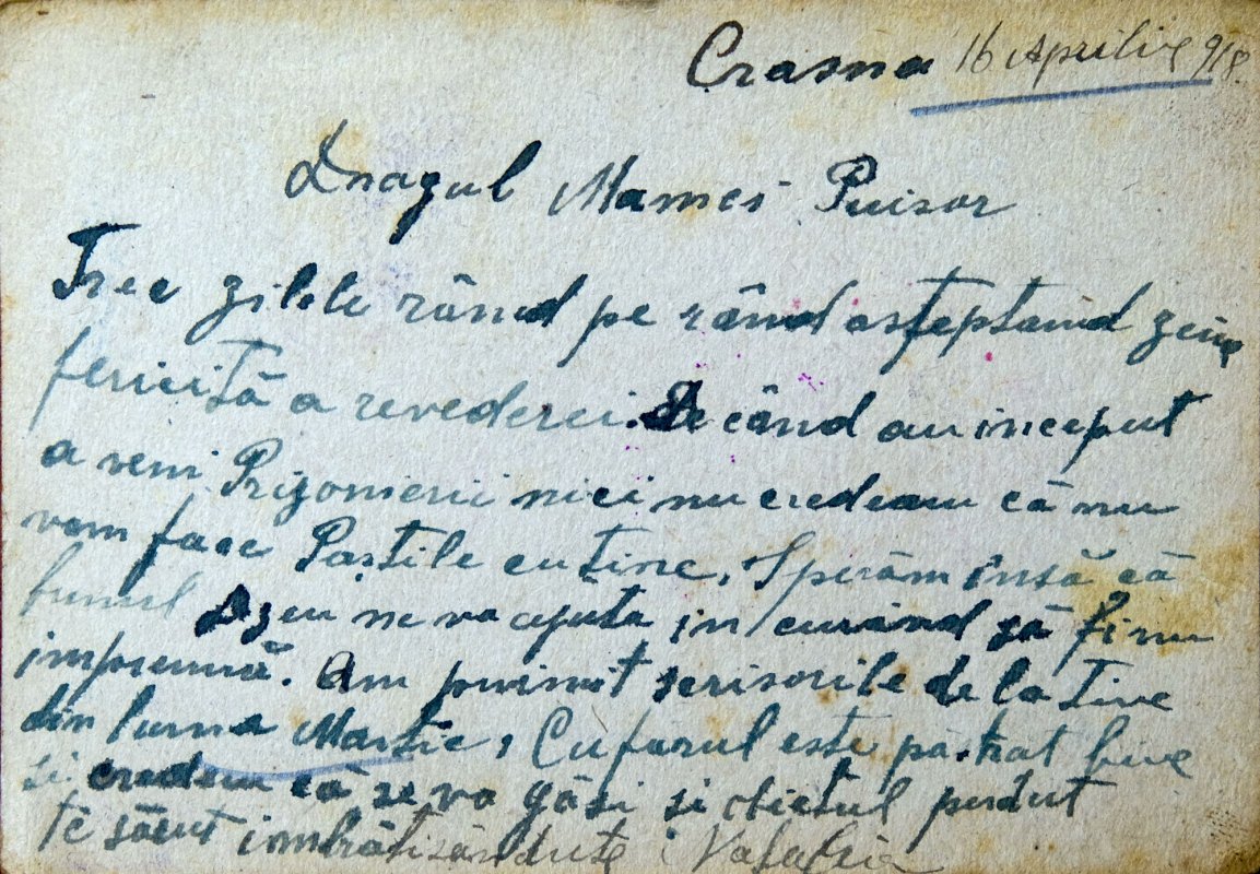 Proiecte culturale la Liceul Pedagogic „Anastasia Popescu” 928