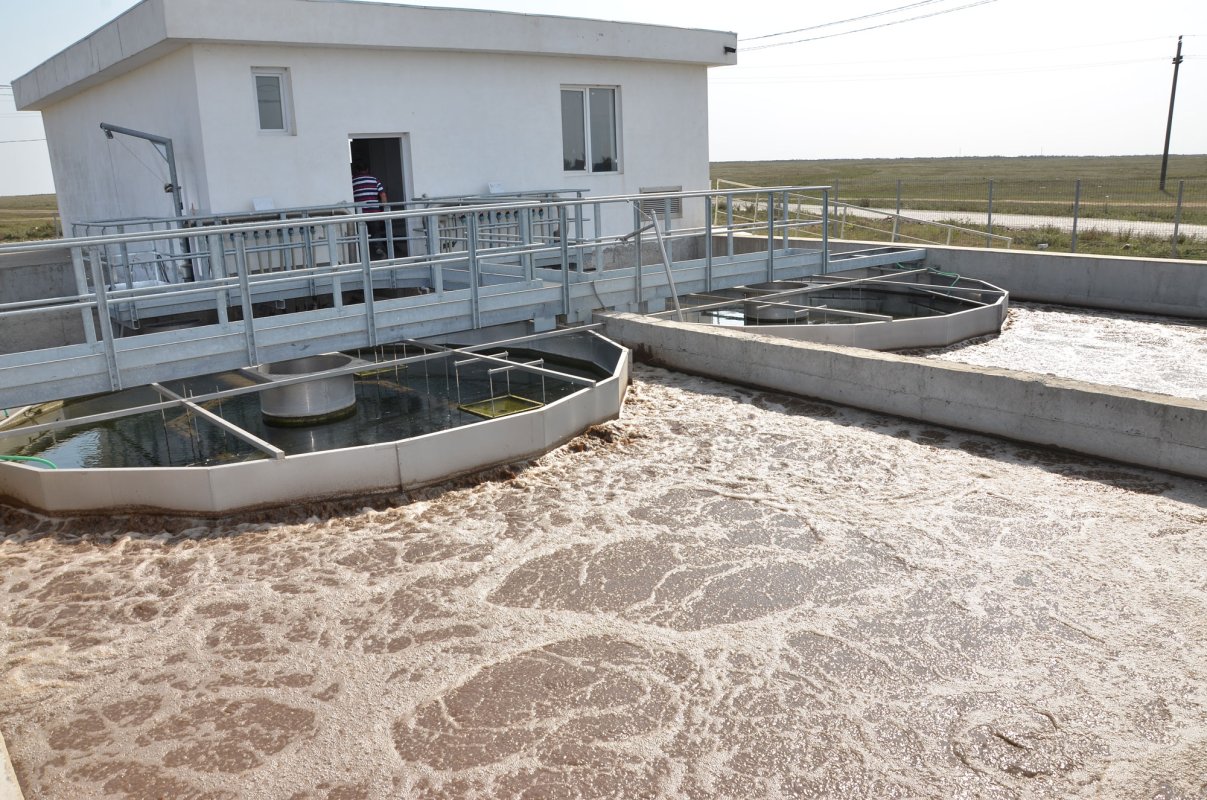 Hărnicie şi responsabilitate într-o comună dobrogeană 700