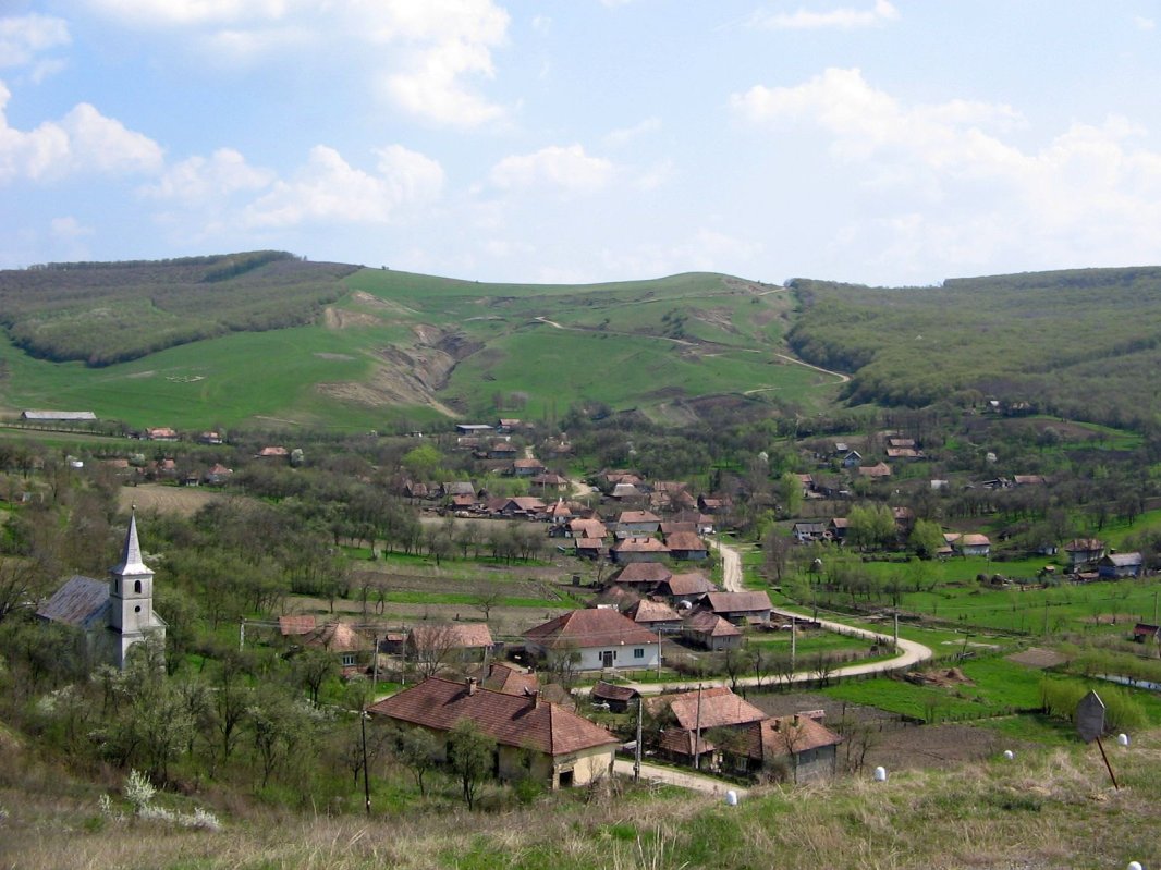 „La sat, totul era adevărat pentru că era firesc” 870