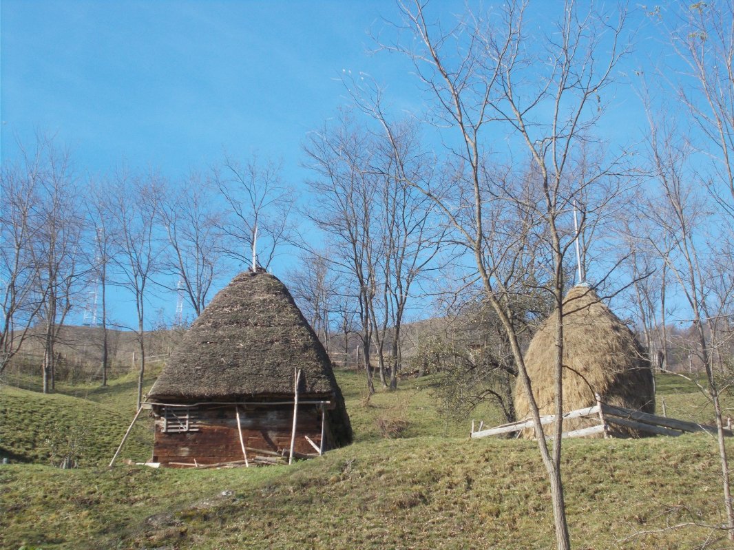 Pecetea etnică salvează satul  de la extincție 441