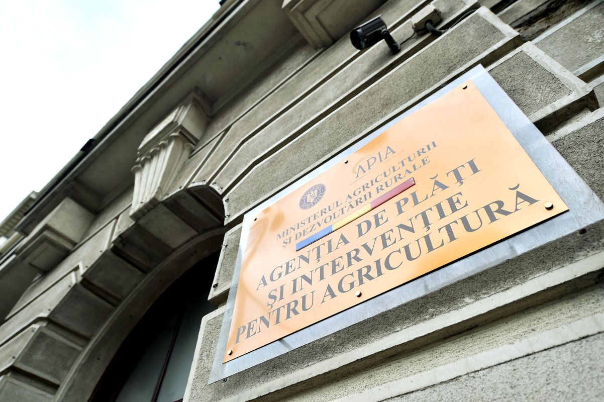 De vineri se depun cererile unice de plată pentru 2019 46