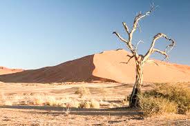 Sfântul Cuvios Ioan Casian, mărgăritar al literaturii monahale 115484