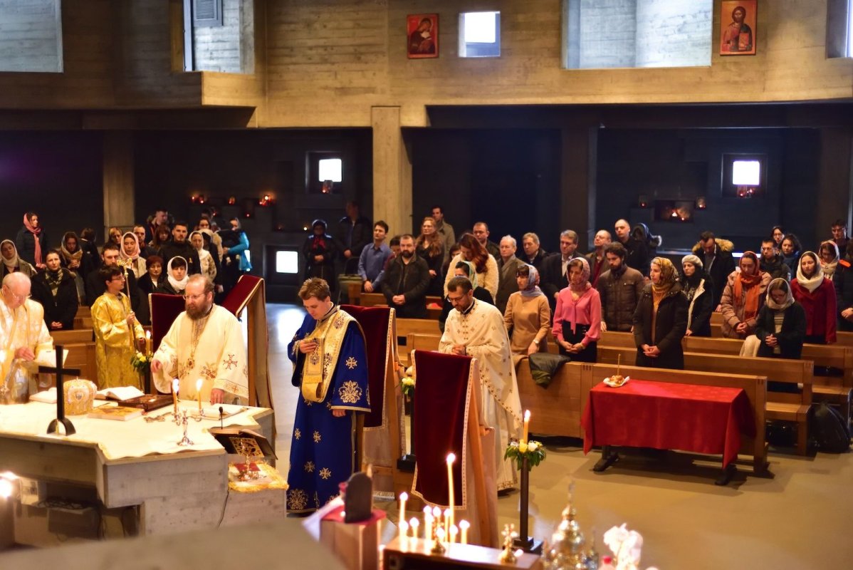 La Berna, căutând rădăcini în cer 115052