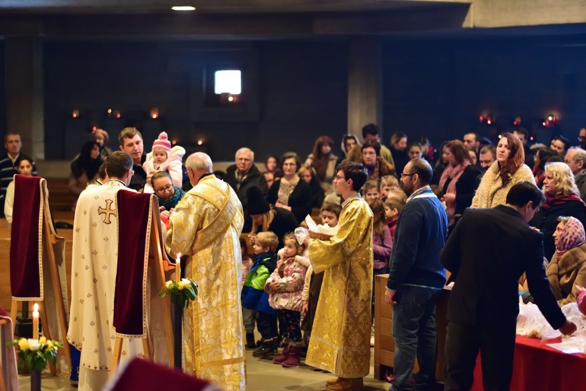 La Berna, căutând rădăcini în cer 115055