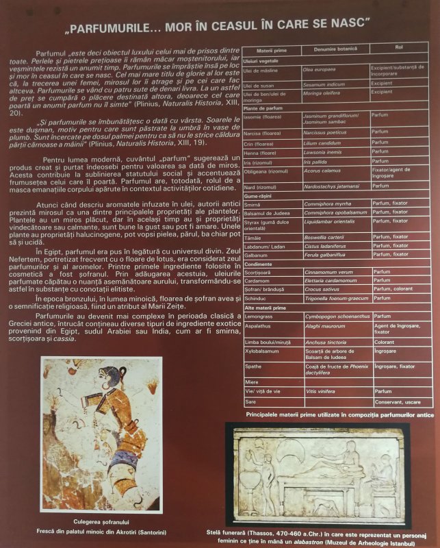 O istorie fascinantă a miresmelor 114748