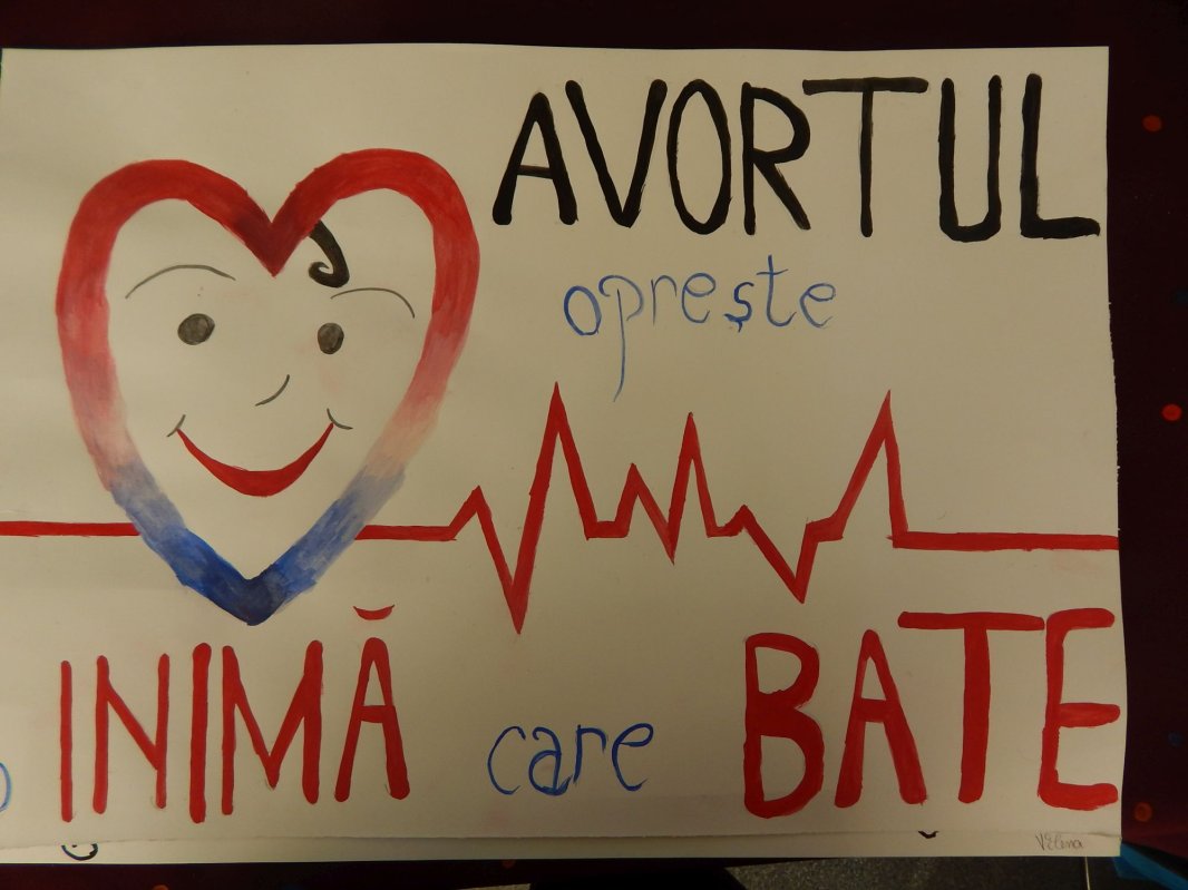 Pancarta mea pentru viaţă 114451