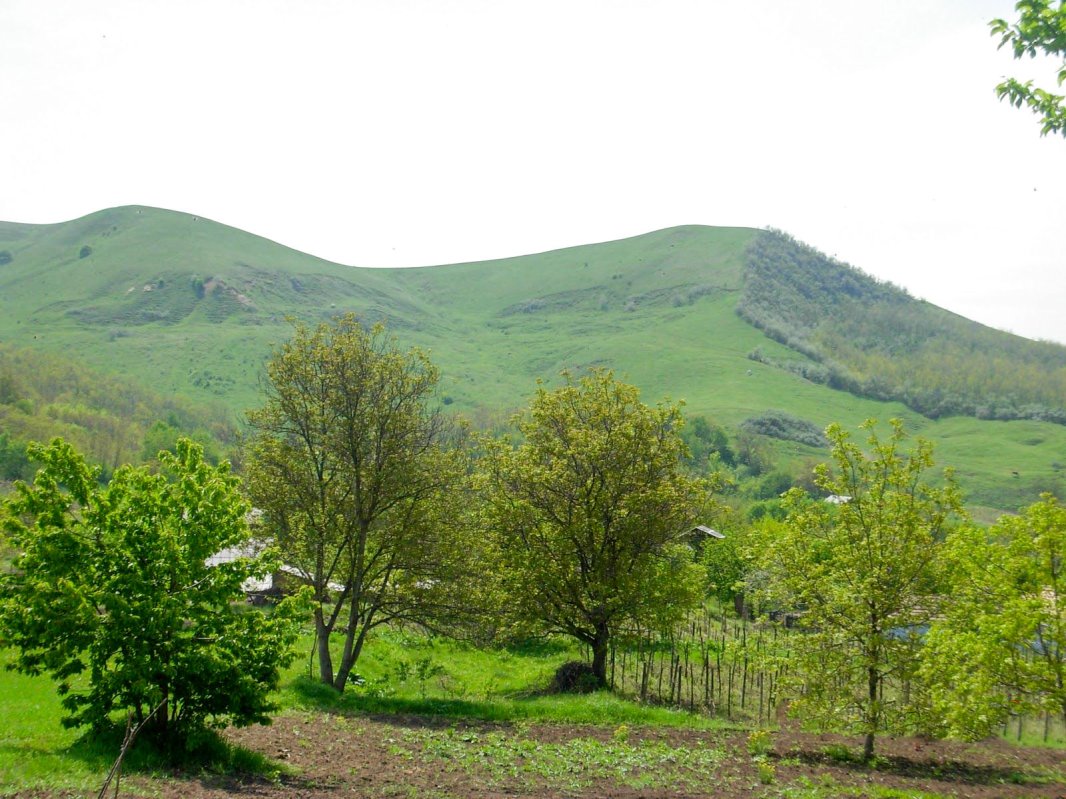 Satul natal, matrice a virtuților cardinale 114484