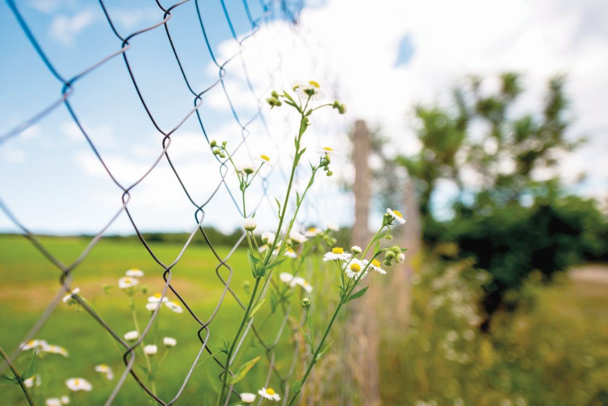 Nu pot să mă „acomodez” cu această lume. Iată drama, iată şi începutul pocăinţei 114322