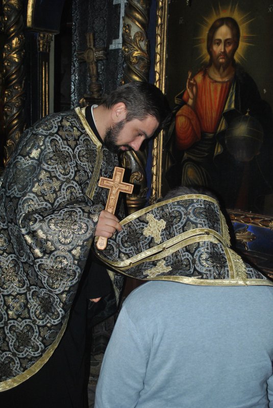 Fructele iertării cresc în arhipelagul răbdării  114044