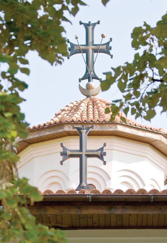 „Ce nu îmbrățișezi nu poți vindeca” 113525