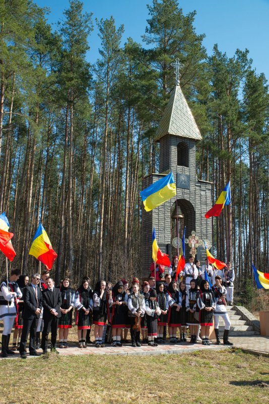 Un demers necesar: „arheologia” pătimirilor bucovinene 113734