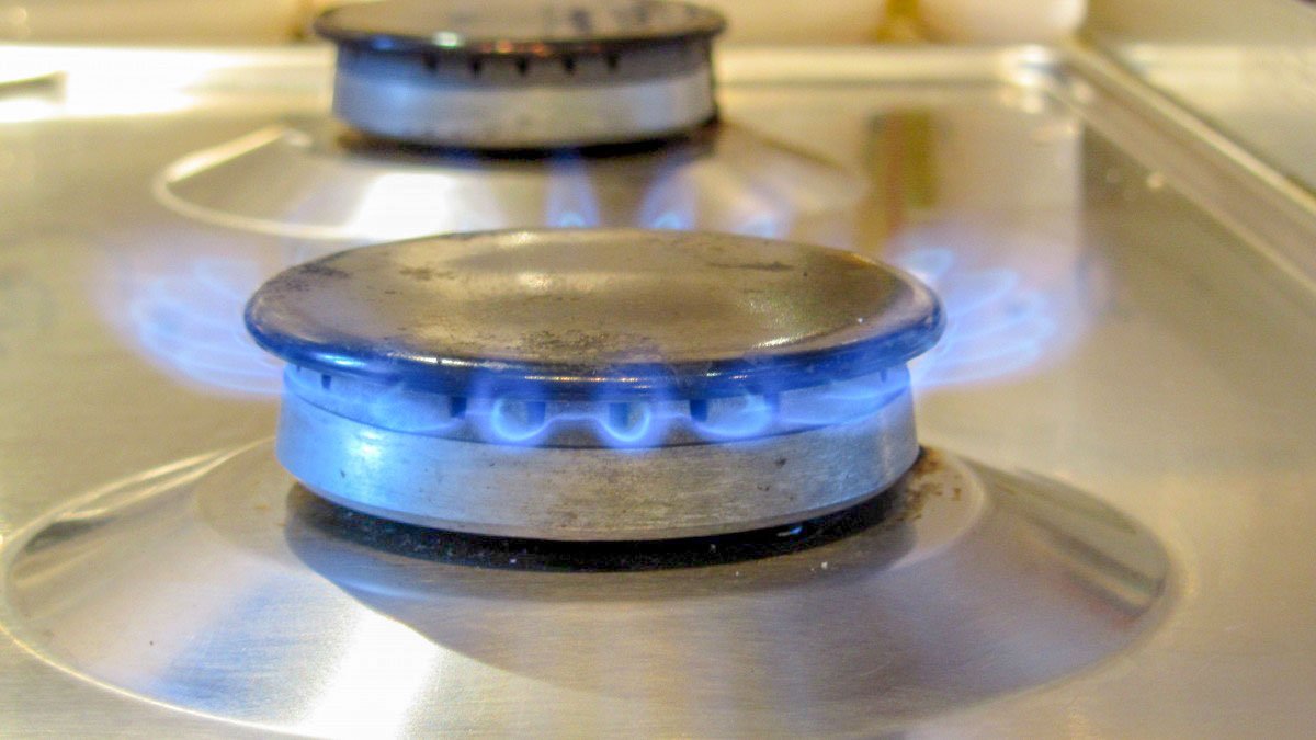 Preţul gazelor, plafonat la 68 de lei 113469