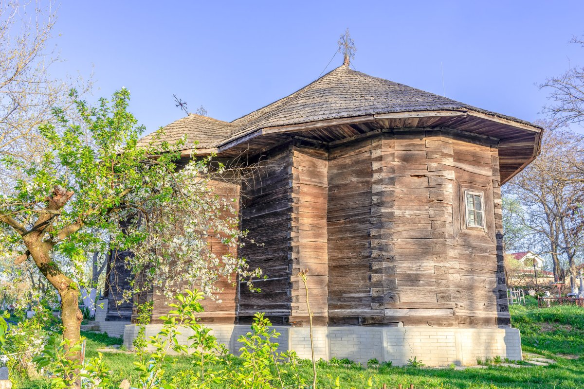 Satul vasluian, salvat în fotografii-document 113365