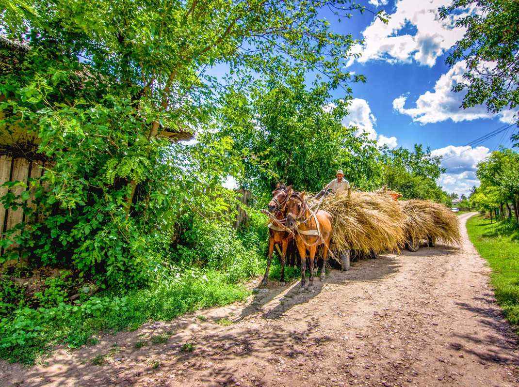 Satul vasluian, salvat în fotografii-document 113369