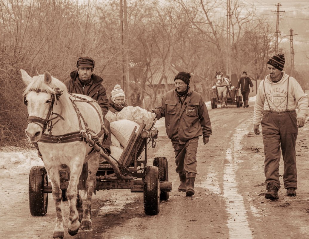 Satul vasluian, salvat în fotografii-document 113371
