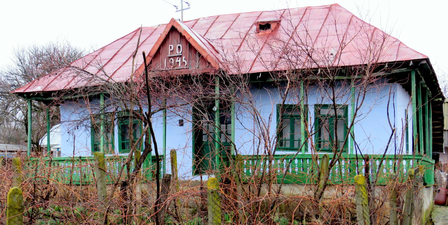 Satul vasluian, salvat în fotografii-document 113372