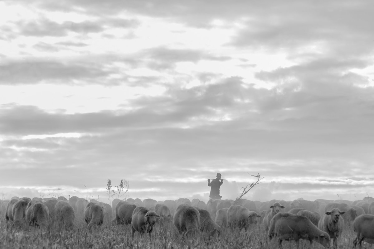 Satul vasluian, salvat în fotografii-document 113373