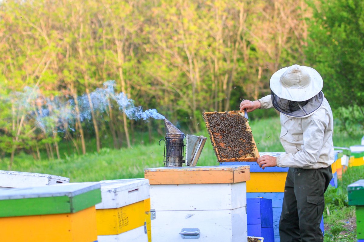 Satul vasluian, salvat în fotografii-document 113375