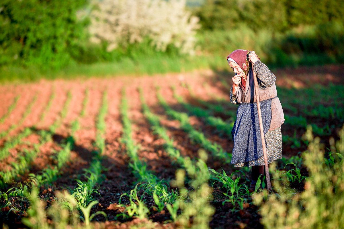 Satul vasluian, salvat în fotografii-document 113376