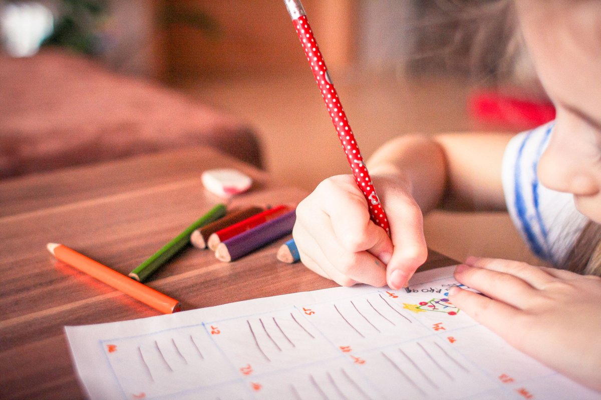 Propunere de introducere a patru tipuri de bacalaureat 113323