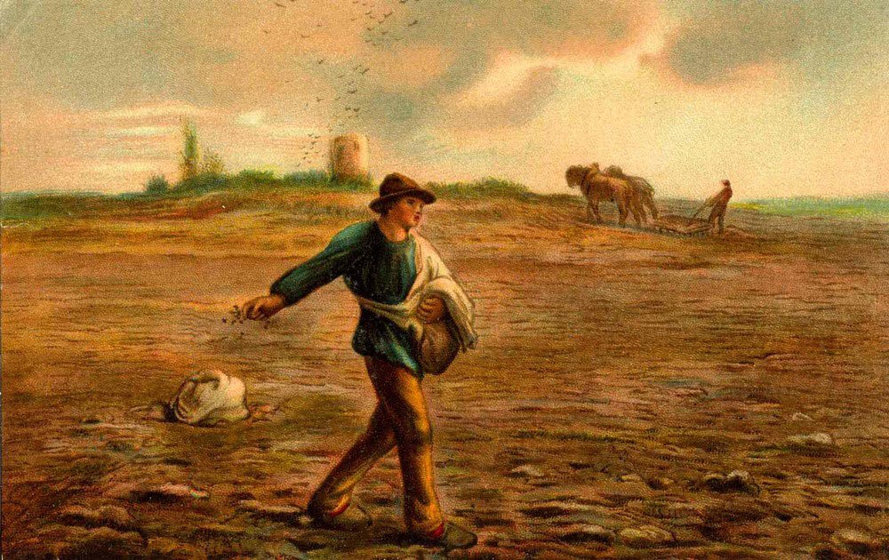 Supraviețuim cu binele pe care îl facem 113321