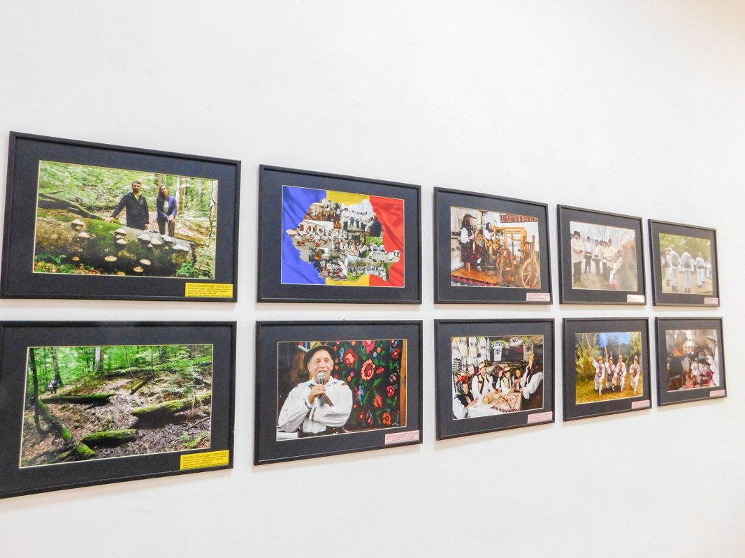 Activităţi cultural-artistice la Târgu Jiu 113128