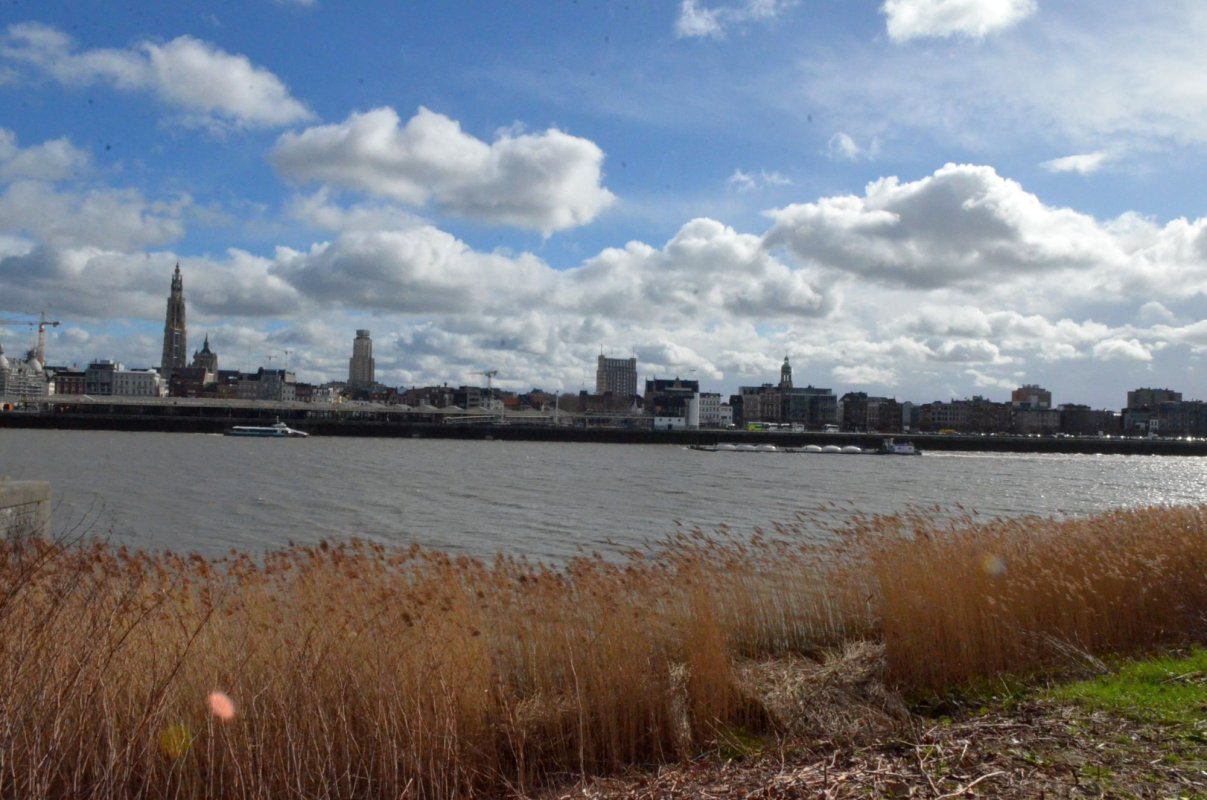 Cine zice Anvers spune artă flamandă și comerț 113098