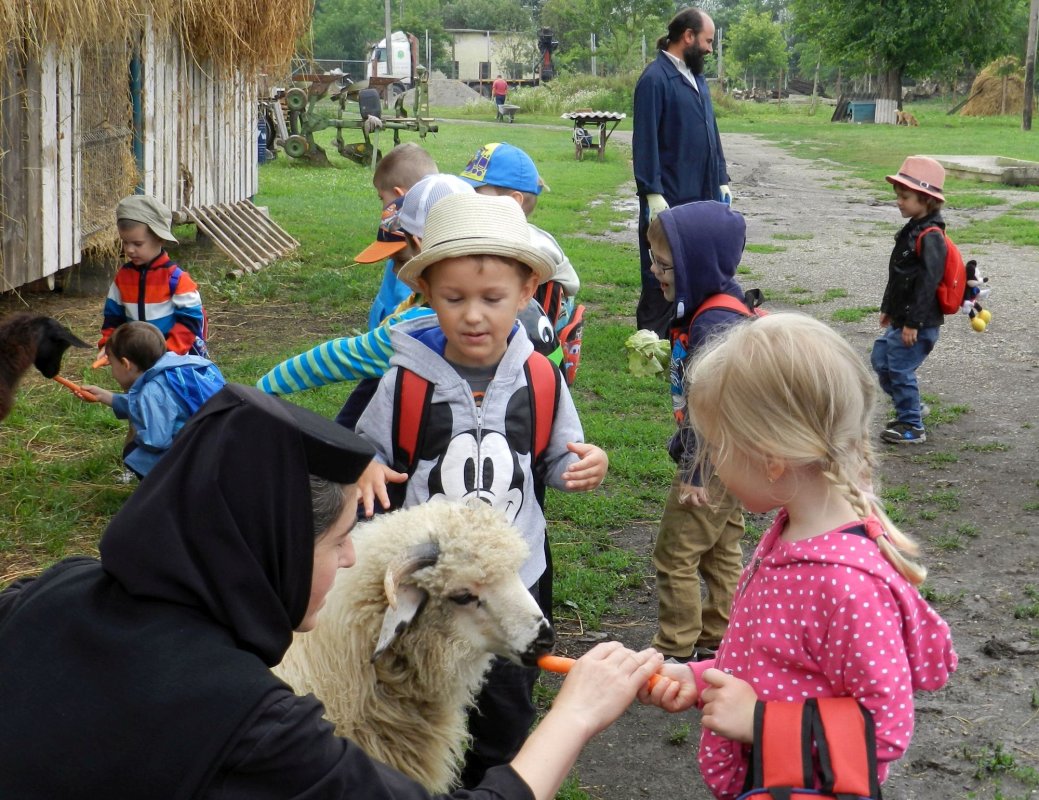 Necesitatea monahismului pentru omul contemporan 113146