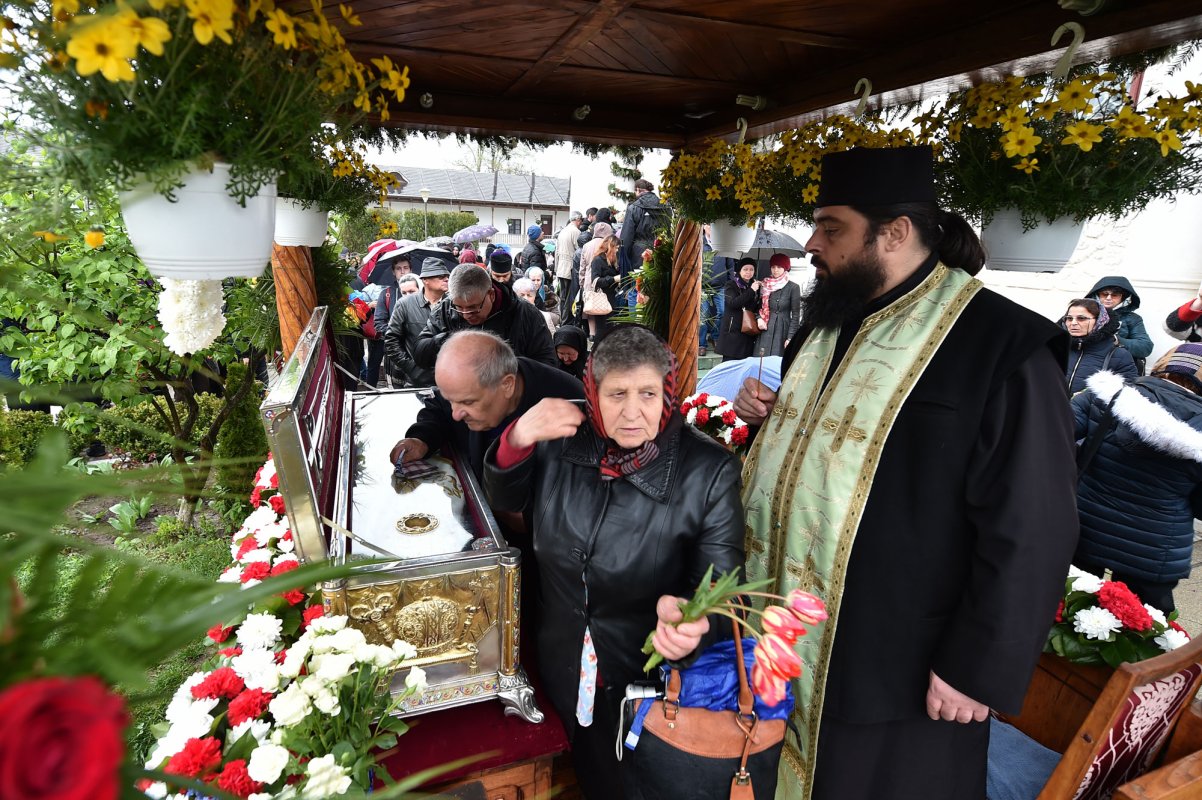 Fidelitate în cinstire față de Sfântul Calinic de la Cernica 112687