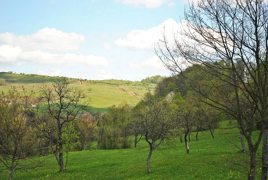 În așteptarea  unui viitor  demn de trecut 112966