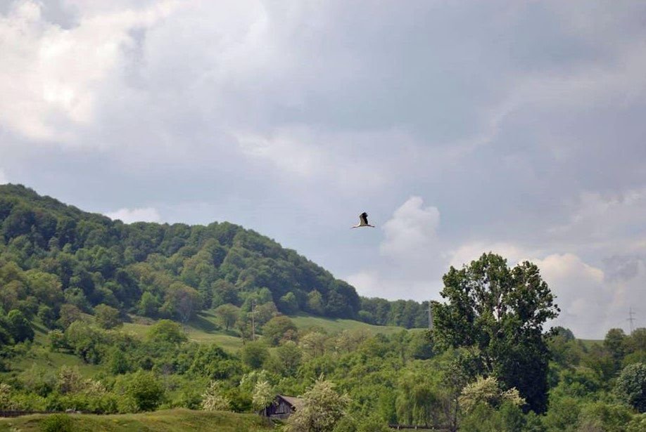 În așteptarea  unui viitor  demn de trecut 112968