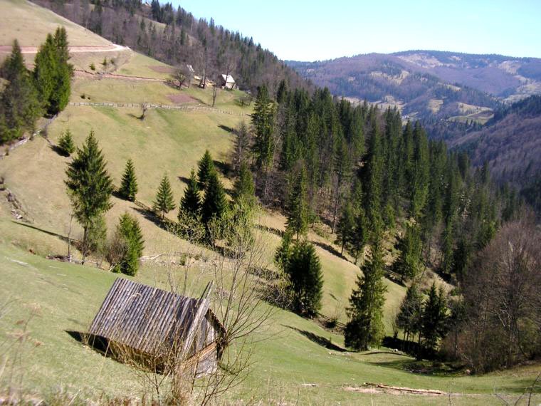 „Preotul ca monografist și muzeolog” 112461