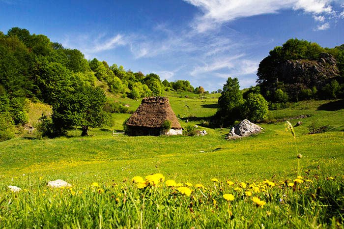 „Preotul ca monografist și muzeolog” 112463