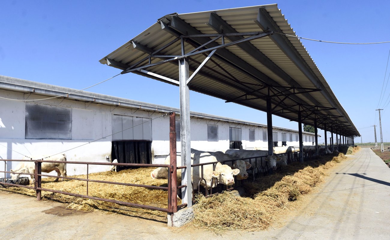 Sprijin pentru înfiinţarea asociaţiilor agricole 112249